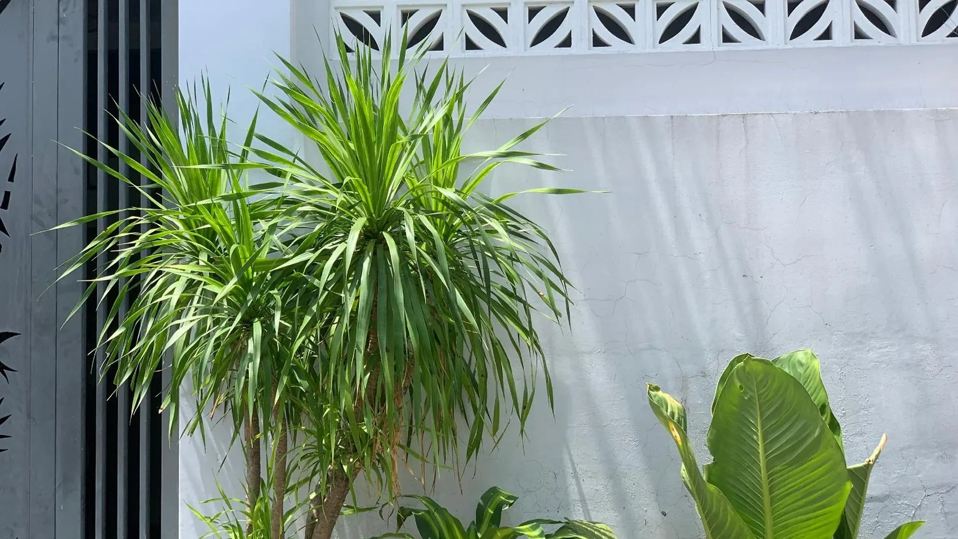 Tina House Apartment Da Nang