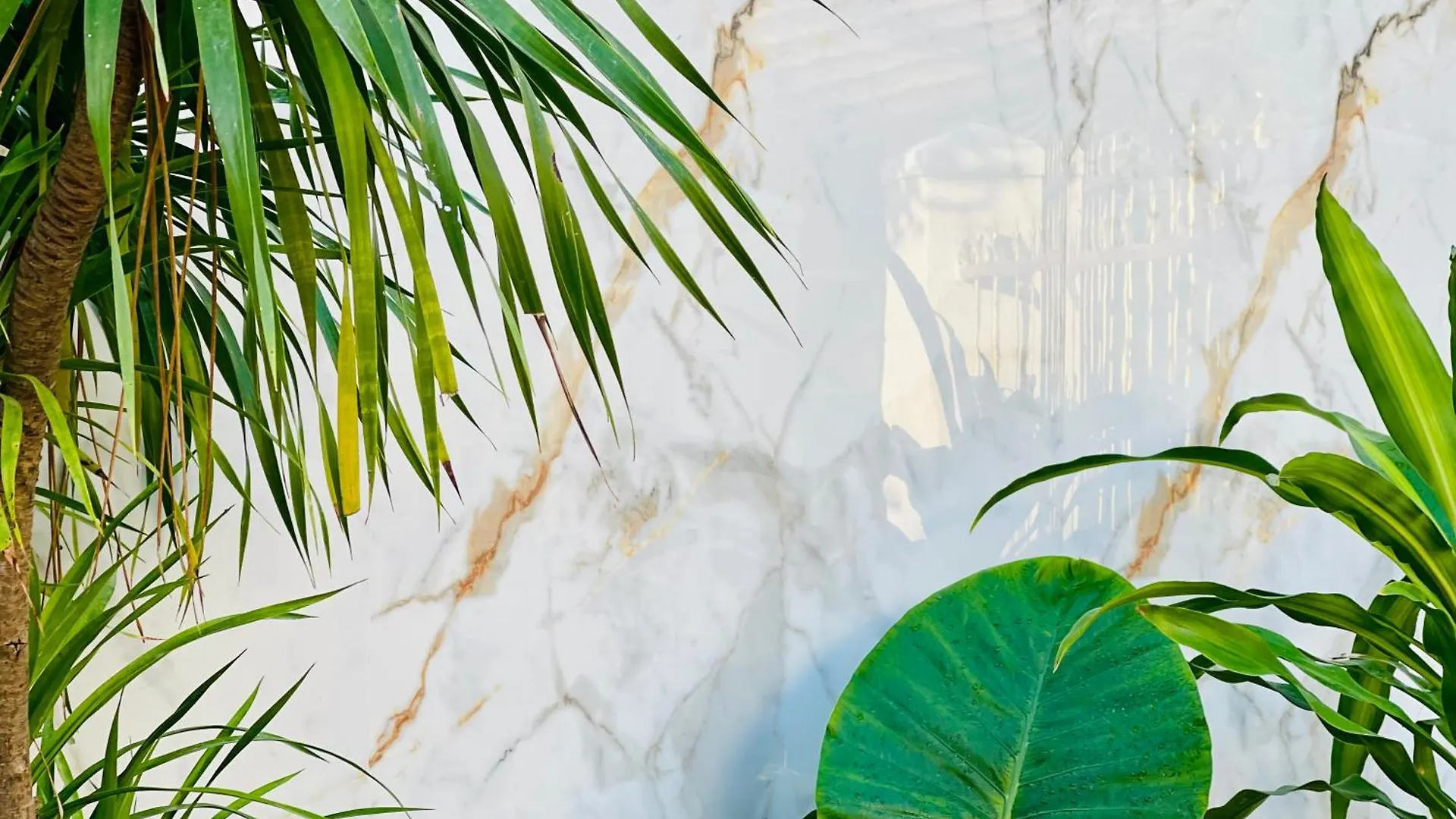 Tina House Apartment Da Nang